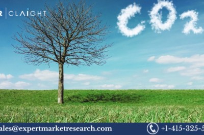 United Kingdom Carbon Dioxide Market Size, Share & Trends, Growth 2025–2034