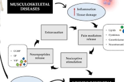 Science of Muscle Relaxers: Healing Injuries & Easing Pain