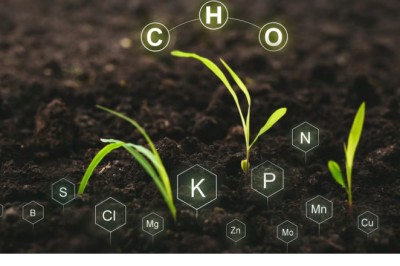 Biostimulants Market Size Analysis and Industry Trends 2023-2033