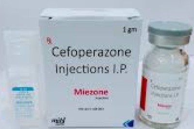 Navigating the World of Vitamin D3 and Cefoperazone Sodium Suppliers