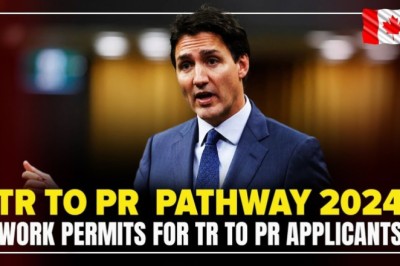 Navigating the TR to PR Pathway with Cougarimmi.com +1 519-800-2212