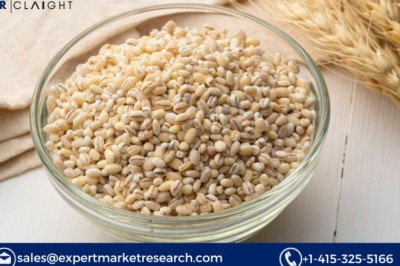 Barley Procurement Intelligence Report 2025: Trends, Technology and Global Market Insights
