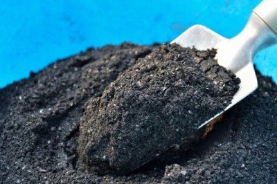 Biochar Market Trends: A Deep Dive into Sustainability