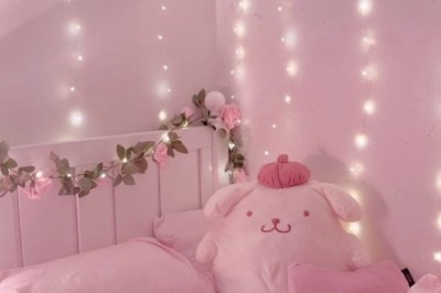 Inside the World of Aesthetic Rooms: A Critical Look