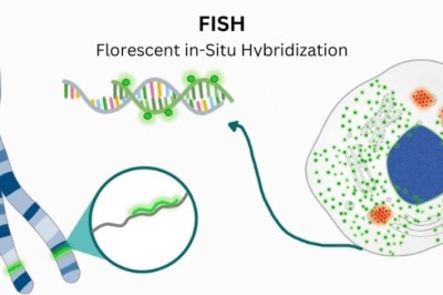 Rapid FISH Probes for Lab Automation Adventures