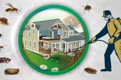 Pest Infestation in Your Flat? How to claim your Compensation