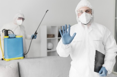 Understanding Pest Control SEO