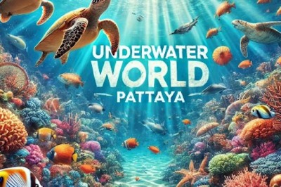 Underwater World Pattaya – Explore Thailand’s Marine Life