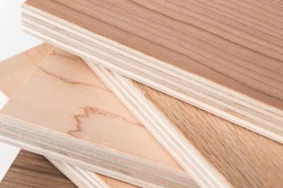 Analyzing Key Segments in the Plywood Market