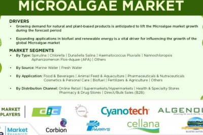 2035 Microalgae Market Forecast: Size, Growth Drivers & Key Trends