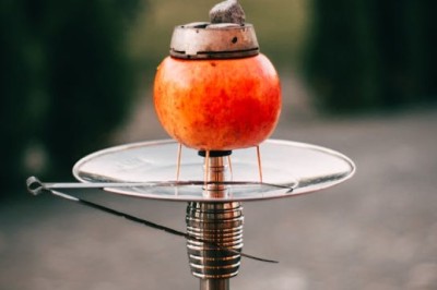 How to Buy Mr. Eds Hookah Online in Canada