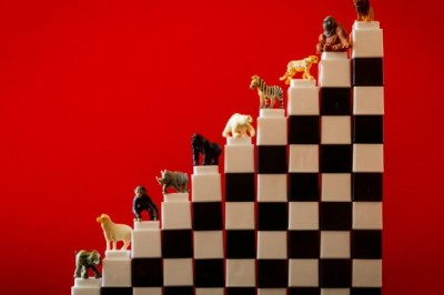 Building Blocks Toys That Spark Creativity and Learning