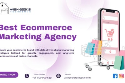 Top Ecommerce Digital Marketing Agency in India to Boost Brand Performance—Wish Geeks Techserve