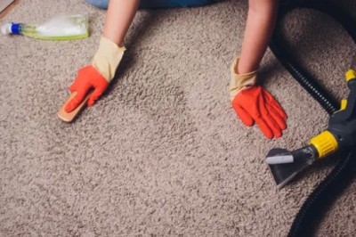Breathe New Life into Your Home with Professional Carpet Cleaning