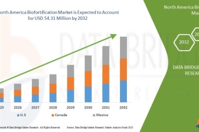 North America Biofortification Market expected to reach USD 54.31 million by 2032