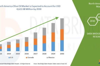 North America Olive Oil Market Current Size, Status, and Future Projections 2030