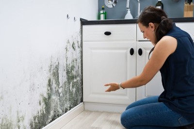 How Long-Term Housing Disrepair Affects Your Mental and Physical Wellbeing