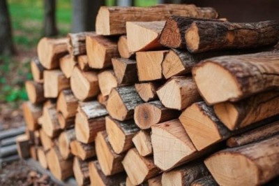 12 Point Farms LLC Premium Firewood Services