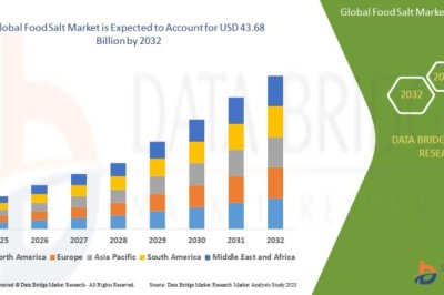 Food Salt Market  : Overview, Trends, Challenges, and Forecast 2025 –2032