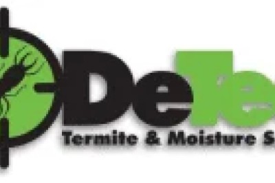 Crawl Space Pest Control Near Me: Protecting Your Home from Hidden Invaders