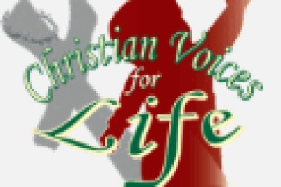 Fetal Development: A Journey from Conception to Birth