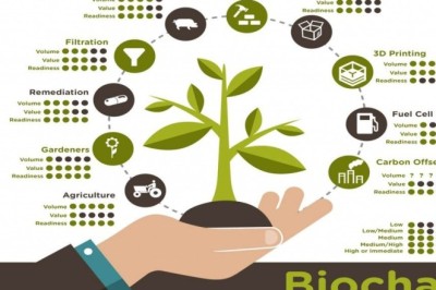 Future Trends in the Global Biochar Market and Innovations