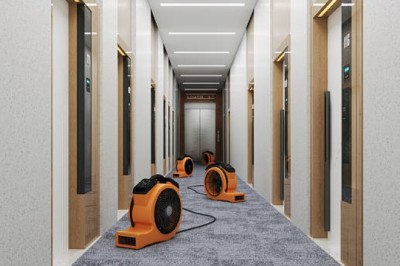 Damage Carpet Repairs In Vancouver For Homes And Offices