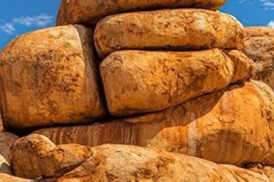 No Cure For Beauty Book By Joyce E Anderson: A Story of Creativity, Strength, and Redefining Beauty