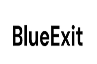Achieve Maximum Value for Your Business with BlueExit