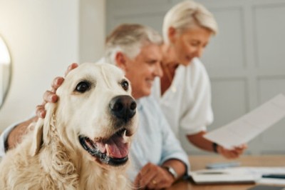 Understanding Pet Insurance Quotes: How to Find the Best Coverage for Your Furry Friend