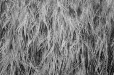 Why Black Weave Curtains Are a Great Choice for Any Room | Stylish, Practical, and Affordable