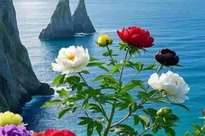 Virginia Technology football: 5 takeaways from Hokies' 24-17 loss to Purdue