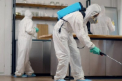 Best Commercial Pest Control: Why Your Business Needs Professional Protection