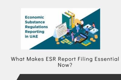 What Makes ESR Report Filing Essential Now?