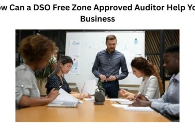 How Can a DSO Free Zone Approved Auditor Help Your Business