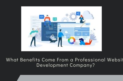 What Benefits Come From a Professional Website Development Company?