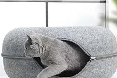 Why the Cat Tunnel Bed Is the Cozy Hideaway Your Kitty Has Been Dreaming About