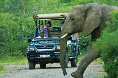 What Types of Accommodations Are Common on African Luxury Safaris?