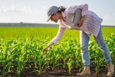 Agricultural Diesel Suppliers in the UK: Strengthening Farm Operations Through Domestic Oil Delivery