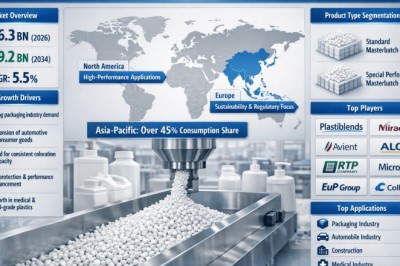 What Fuels PE White Masterbatch Market? Growth Drivers, Investment Trends & Market Forecasts