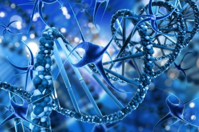 Amniotic Tissue Allograft: A Health-Focused Approach to Healing