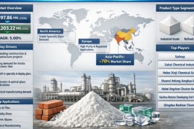 Top 10 Leading Players in Global Barium Carbonate Powder Market Projected to Achieve a CAGR of 5.00% by 2034