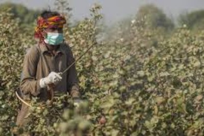 How Much Water Per Acre for Effective Insecticide Spray on Cotton?