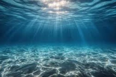 Ocean Conservation vs. Climate Change: Why Saving Seas Fights Global Warming