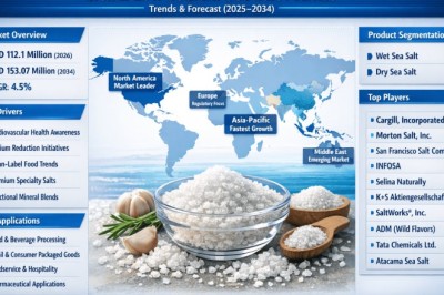 From USD 112.1 Million to USD 153.07 Million: Can Low Sodium Sea Salt Sustain a 4.5% CAGR Through 2034?