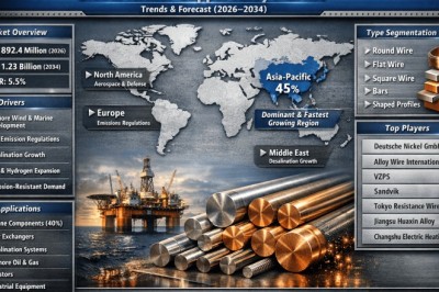 Is Global Nickel-Copper Alloy Market Set for Long-Term Growth Beyond 2034?