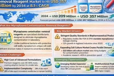 Global Mycoplasma Contamination Removal Reagent Market to Hit USD 357 Million by 2034 at 8.1% CAGR; Key Players and Industry Trends