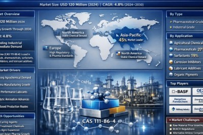 Top 10 Leading Players in n-Octylamine Market Driving 4.8% CAGR Growth Through 2034