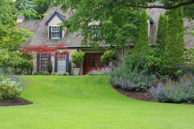 Tree Service Kansas City