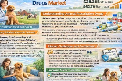 Global Animal Prescription Drugs Market Projected to Reach USD 62.7 Billion by 2034, Growing at a 5.2% CAGR; Key Players and Trends